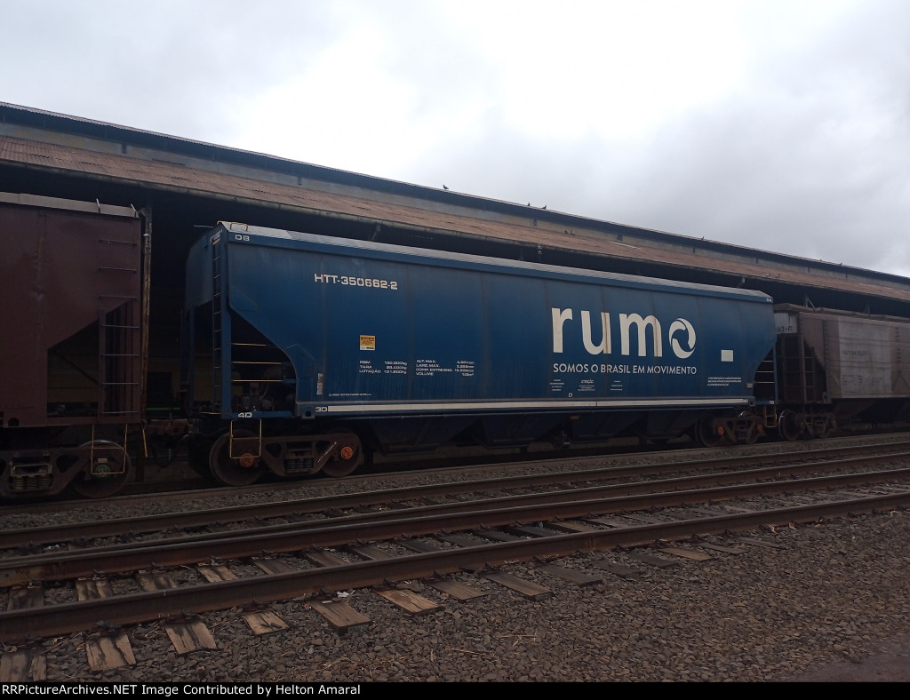 RUMO HTT-350662-2